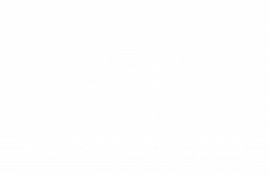 Logo communicata weiss